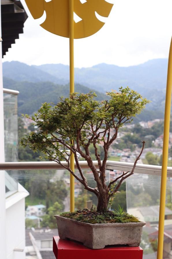 Apartahotel Millennials, Moderno Y Acogedor En El Sector Del Cable Y Cerca Al Estadio Manizales Exterior foto
